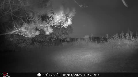 👁️🤯 Unbelievable Trail Cam Captures Mysterious Aerial Object! | TheTruthAbove