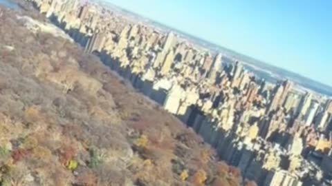 Jake Paul could make 40 million dollars