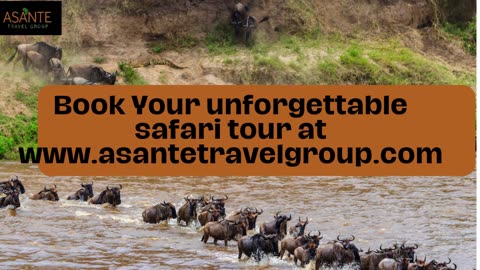 Amazing 6-Day Marangu Route Tour - Asante Travel Group