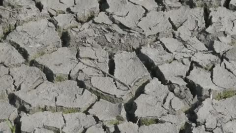 #ClimateCrisis #COP30 #MoralFailure #RenewablesRevolution #GlobalWarming #Sustainability #TrueAction