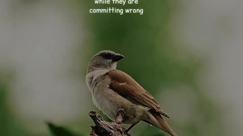 🔥 Surah Hūd 11:102 — سورة هود ⚡⏳#love #quran #viral #shorts #trending #youtubeshorts