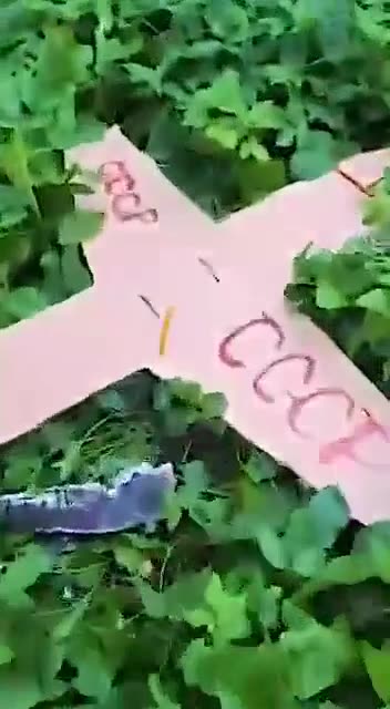 Poland’s New Trend: Citizens Destroy Cardboard Drones After $600K Missile Intercepts 😂