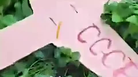 Poland’s New Trend: Citizens Destroy Cardboard Drones After $600K Missile Intercepts 😂