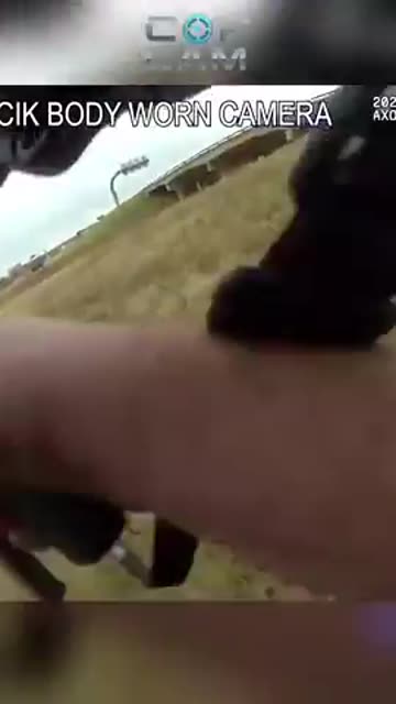 He Tried to Carjack a Driver on the Highway