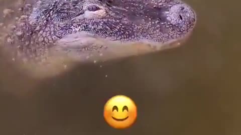 Meet James
