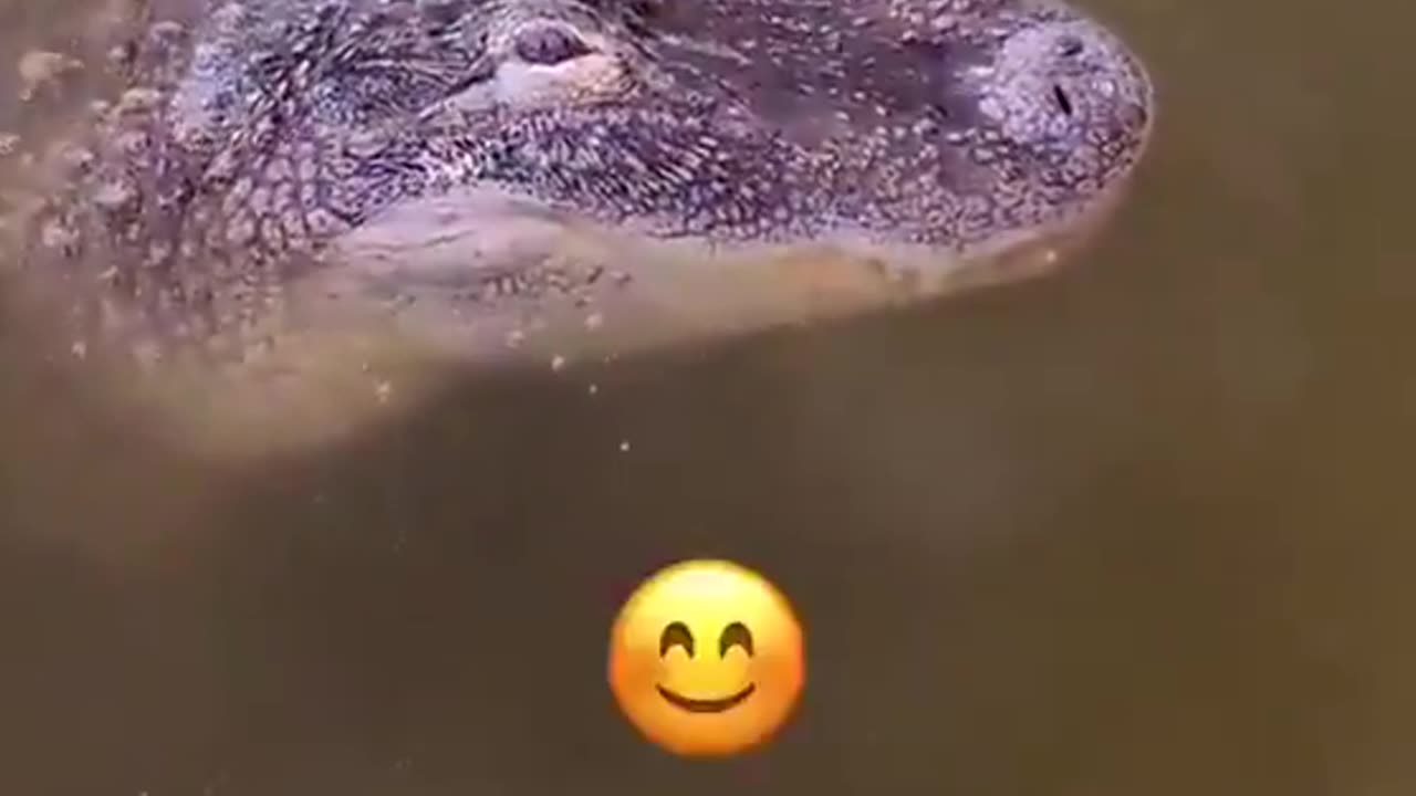 Meet James
