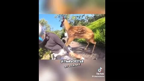 Need a laugh here and there ;)