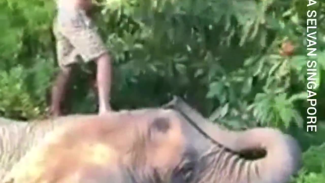 Tms Legend Thiravida Selvan Vol 438