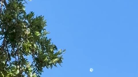 🛸🔍 Possible UFO Spotted in Sacramento! | TheTruthAbove