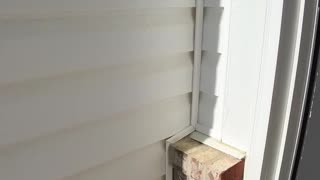 I Came to Drop Off Keys… and Met the Coolest Kid 😄🔑. Not Every Tenant Story Is Drama 👀✅