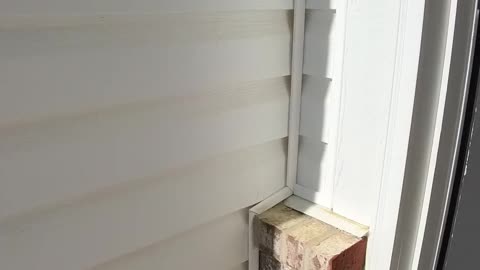 I Came to Drop Off Keys… and Met the Coolest Kid 😄🔑. Not Every Tenant Story Is Drama 👀✅