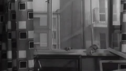 Ostrożnie Yeti (1960)