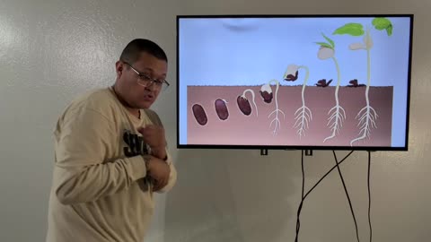 Planted Together with Christ