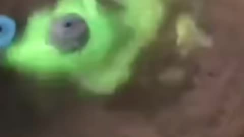 Beyblade Toys Were Awesome #beyblade #toys #bovcast