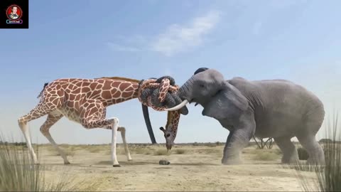 Elephant vs Giraffe Funny Fight Story | Comedy in Hindi | Seth's Hub