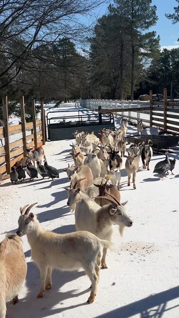 Never Too Cold for SNACKS!!!