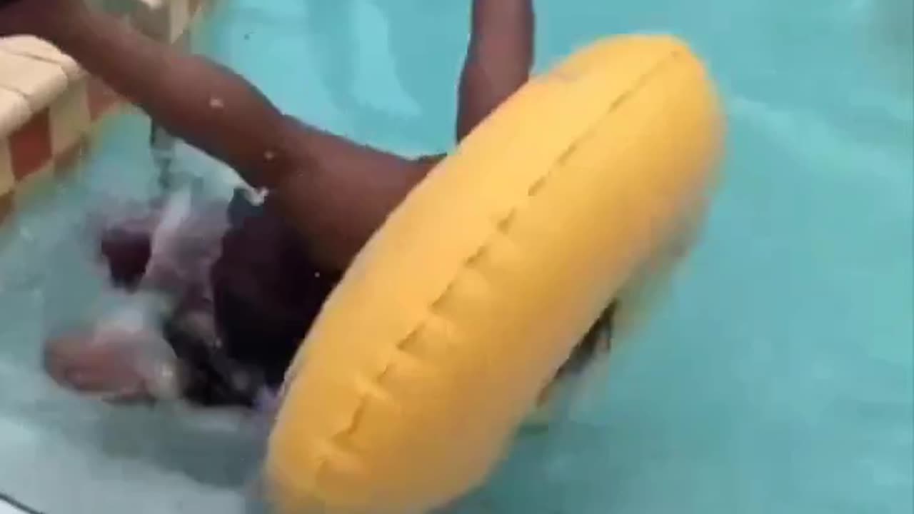 📅🤣 Fail Friday! Week’s Best Faceplants & Fails Unleashed!