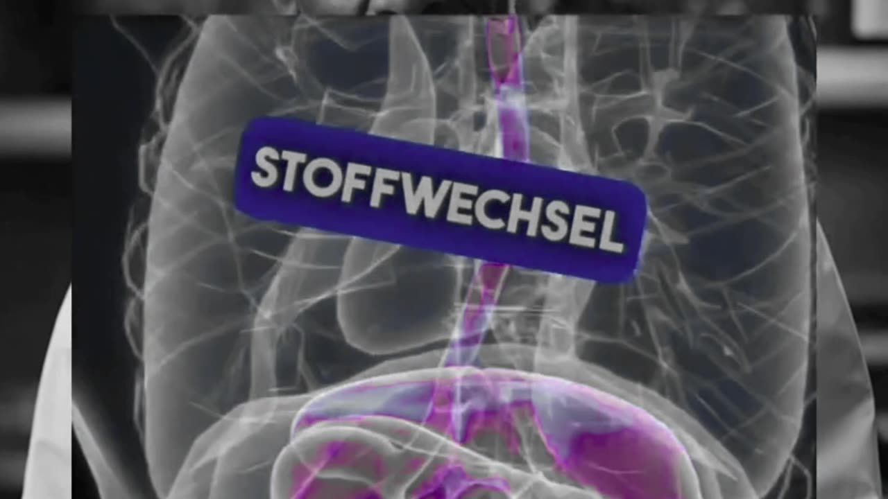 Entdeckd deine Vitalität