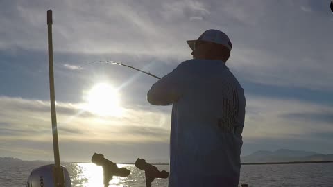 11-15-2025 Suisun City Ca, 37” Strugeon