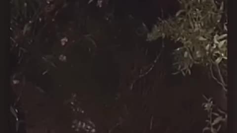 👻😱 Creepy Compilation: The Scariest Moments Caught on Camera! | TheHauntingHour