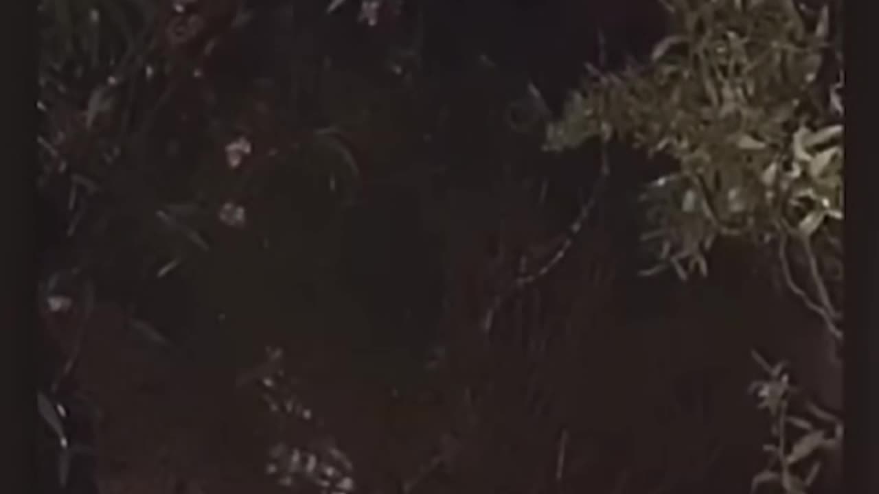 👻😱 Creepy Compilation: The Scariest Moments Caught on Camera! | TheHauntingHour