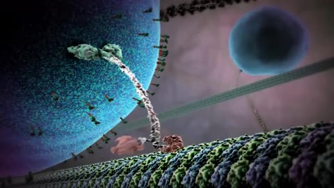 Michael Behe Unravels the Mystery of Biological Information