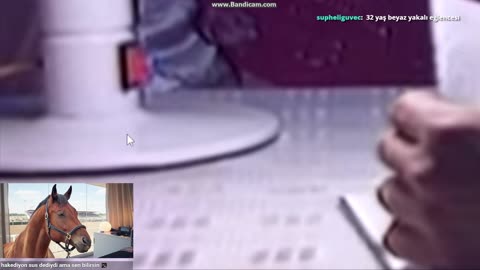 ™️ TÜRKİYENİN İLK AT-TUBERı indi bindide korku günü (hastayım ondan kamera yok) !whatsapp