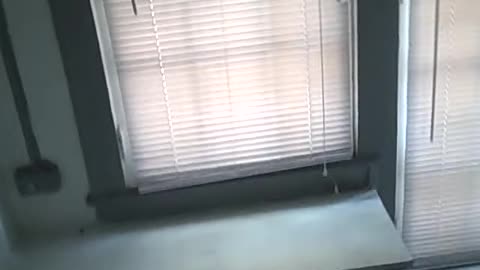 NEW COAT FROM PROPERTY_ CHEAP PROPERTY IN DETRO