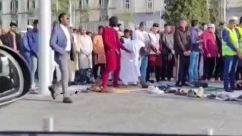 No Italians in Naples, Italy - all migrants