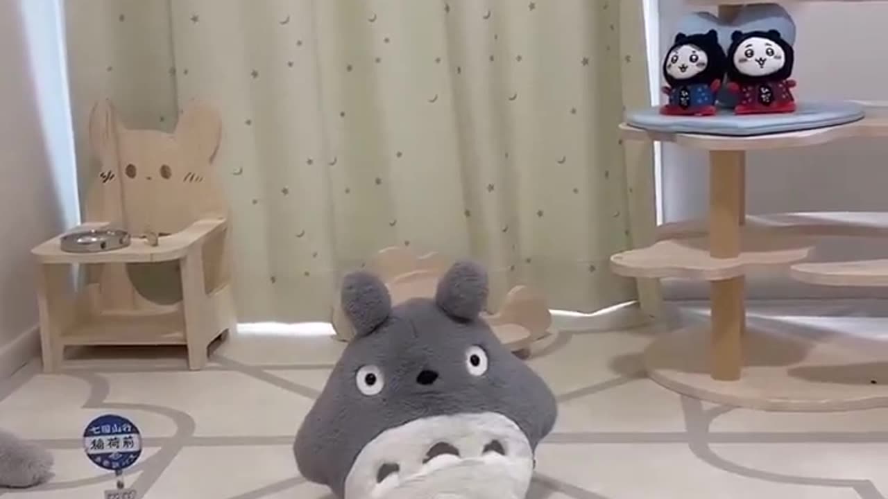 First time in a while, diving into the big totoro