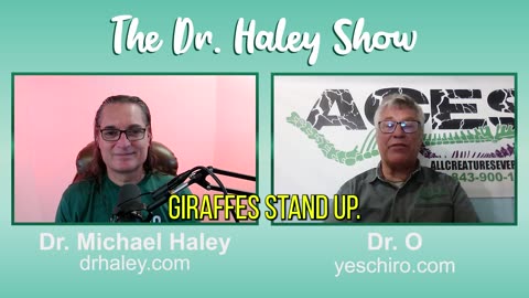 Chiropractic For Dog and Chicken | ANIMAL CHIPROCATOR DR. BILL ORMSTON