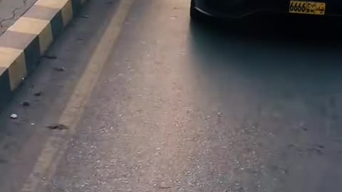 🌍✨ Where Will Your Dream Car Take You? | LuxurySportsCars