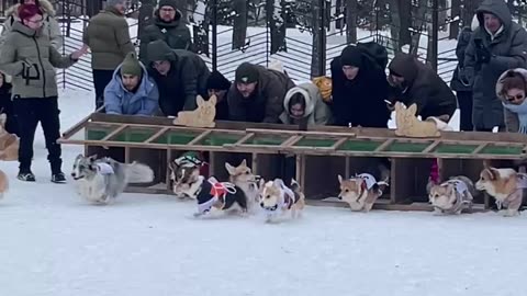 He won the race before it was even started 💪