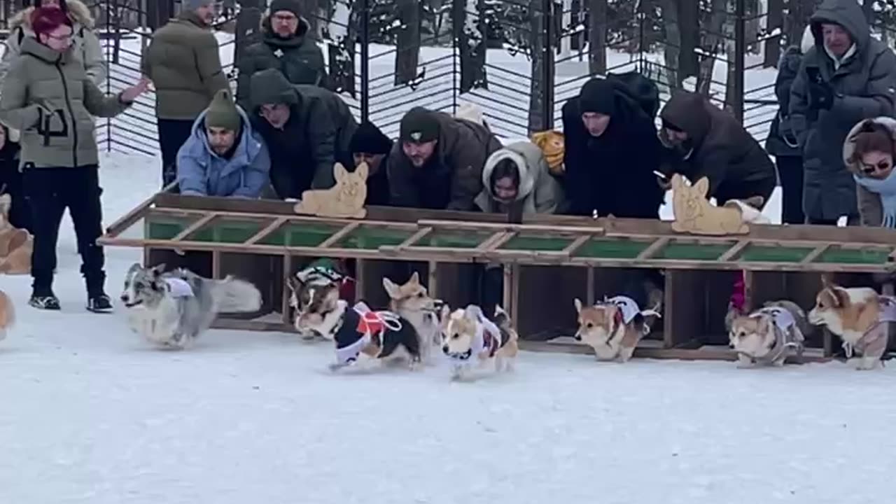 He won the race before it was even started 💪