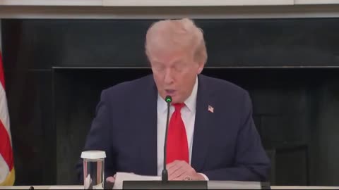 President Donald J. Trump: "We have a very serious left-wing terror threat in our country.