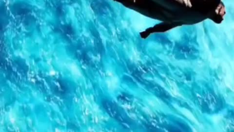 The Library Between Lives...