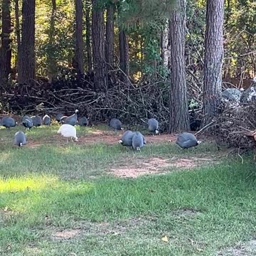 Filling up on Snacks before the Storm!!!