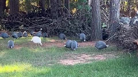 Filling up on Snacks before the Storm!!!