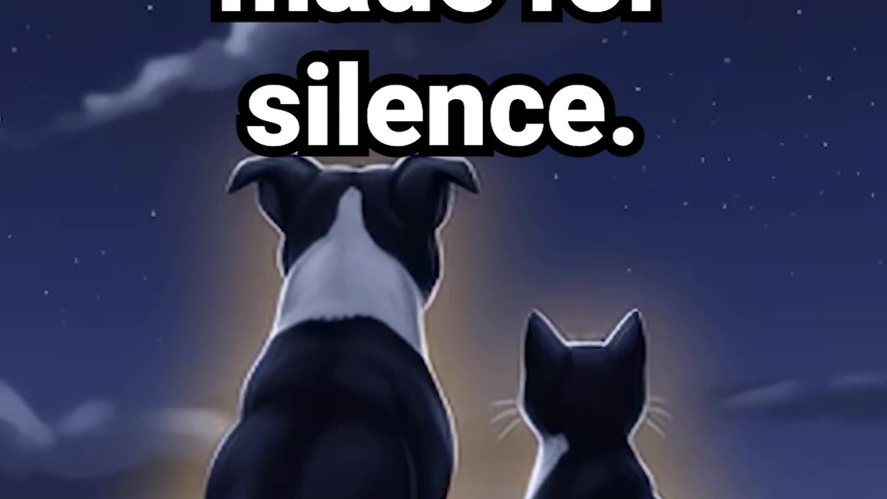 Some nights are made for silence #studentmotivation #wellbeing #hiphopbeats #stressrelief