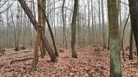 przyszłam posłuchać ciszy ...