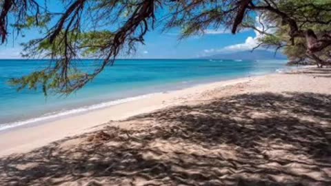 pāpalaua wayside park