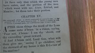 God's Promise to Abram