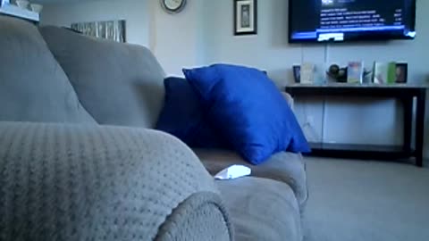 Dubstep gets the bnkywuv critter into dinosaurs again!