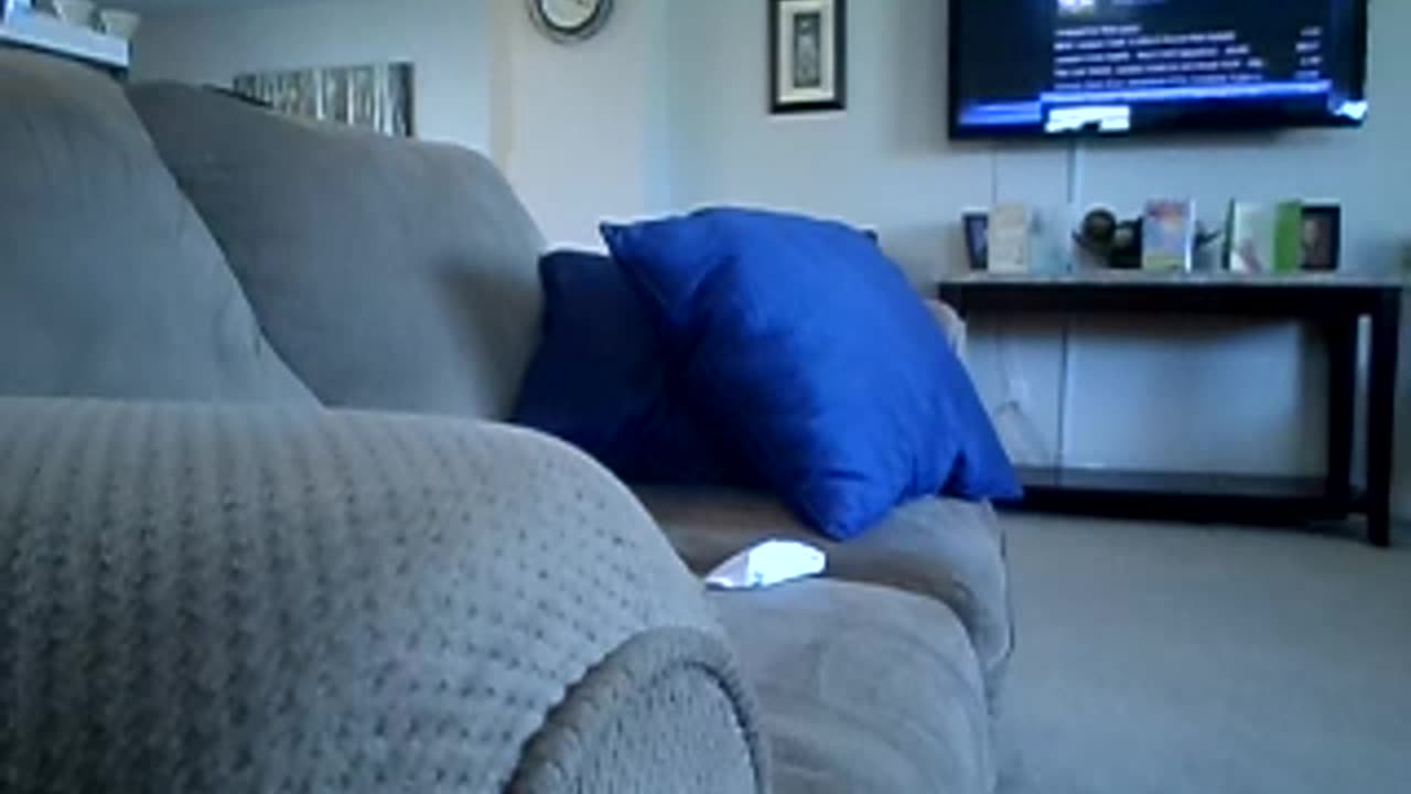 Dubstep gets the bnkywuv critter into dinosaurs again!