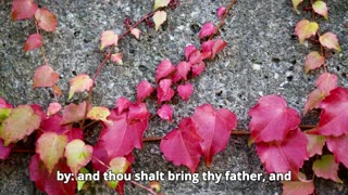 Joshua Chapter 2