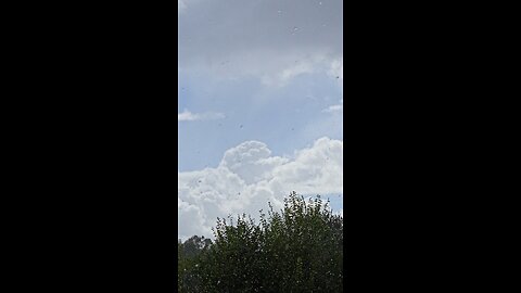 Sunshine & Rain