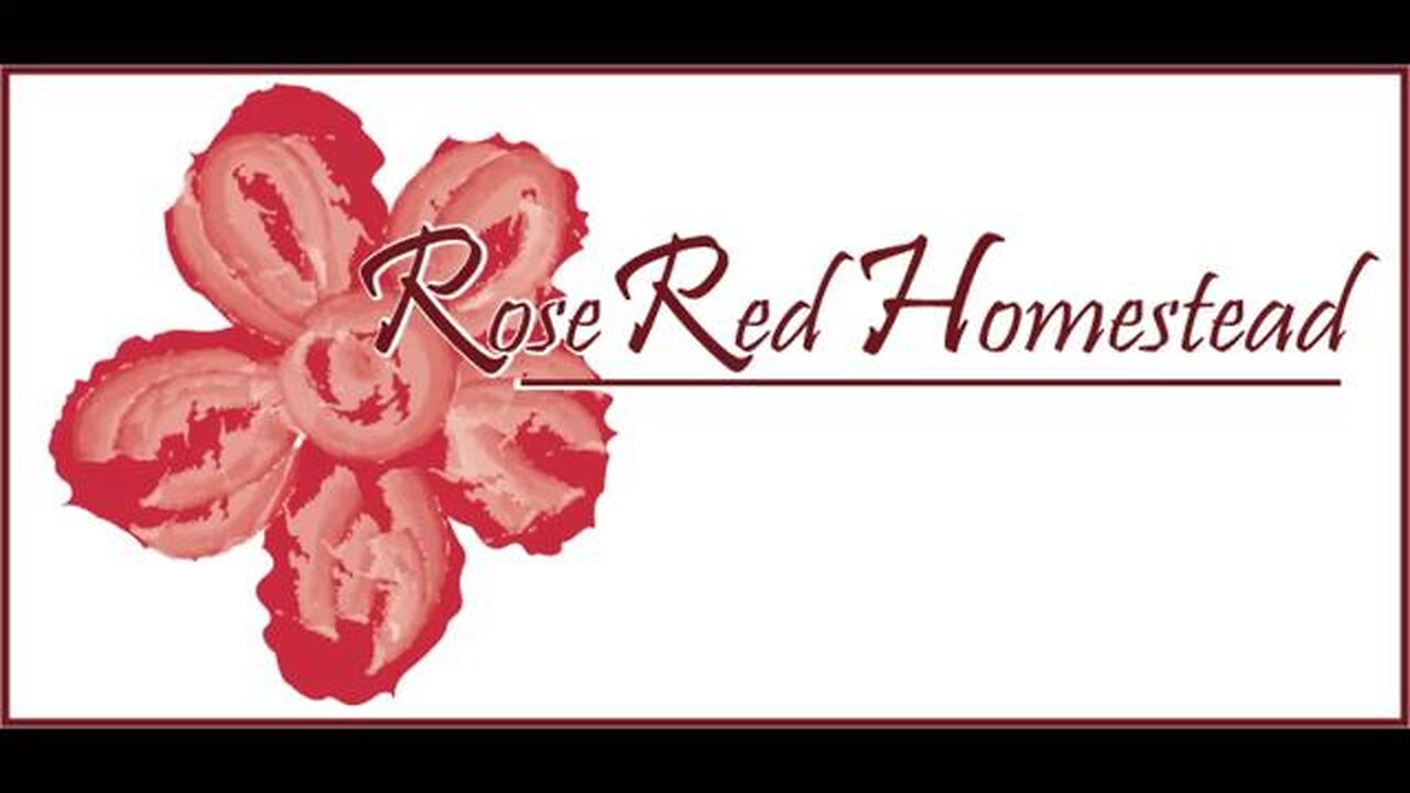 Food Storage Gems: Amaranth