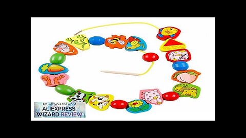 26PCS Wooden Animals Fruits Beads Children Cartoon Toys Threading Rope Montessori Early Review