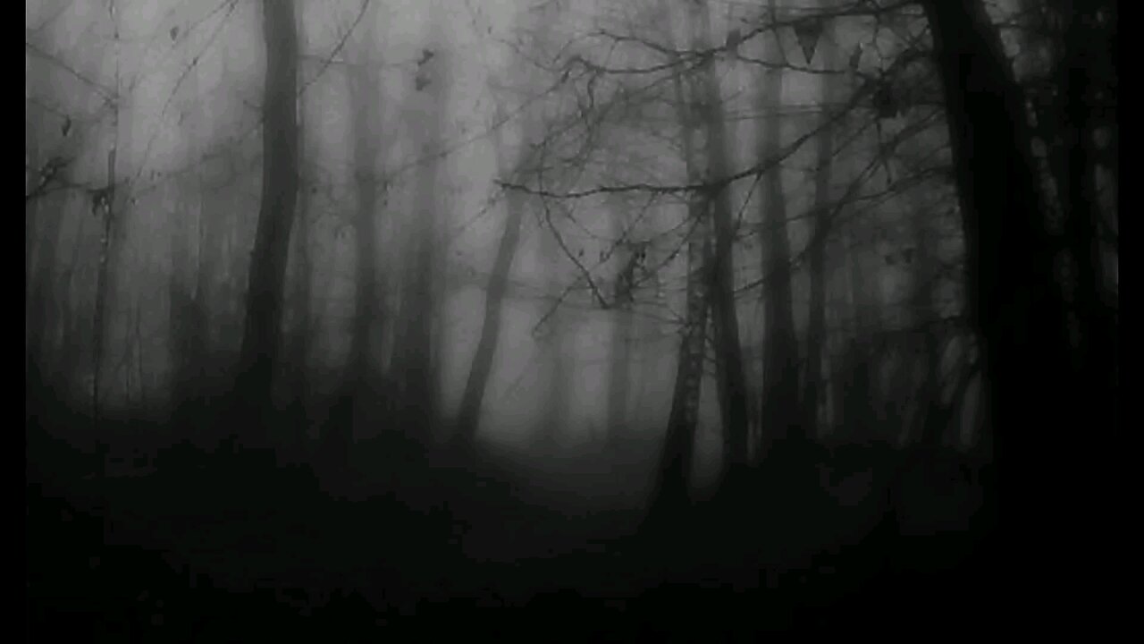 Just feel the music