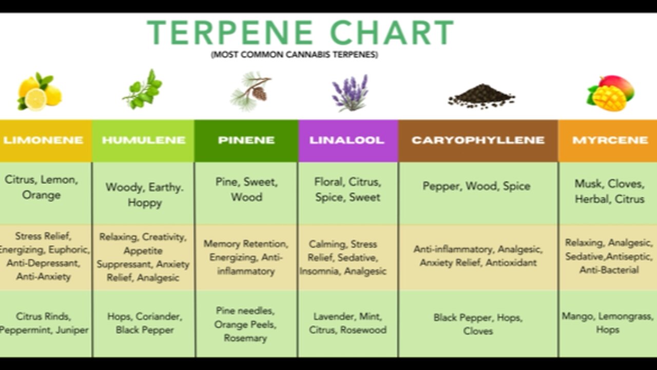 Orange Peel Power: Nature’s Anti‑Everything Shield
